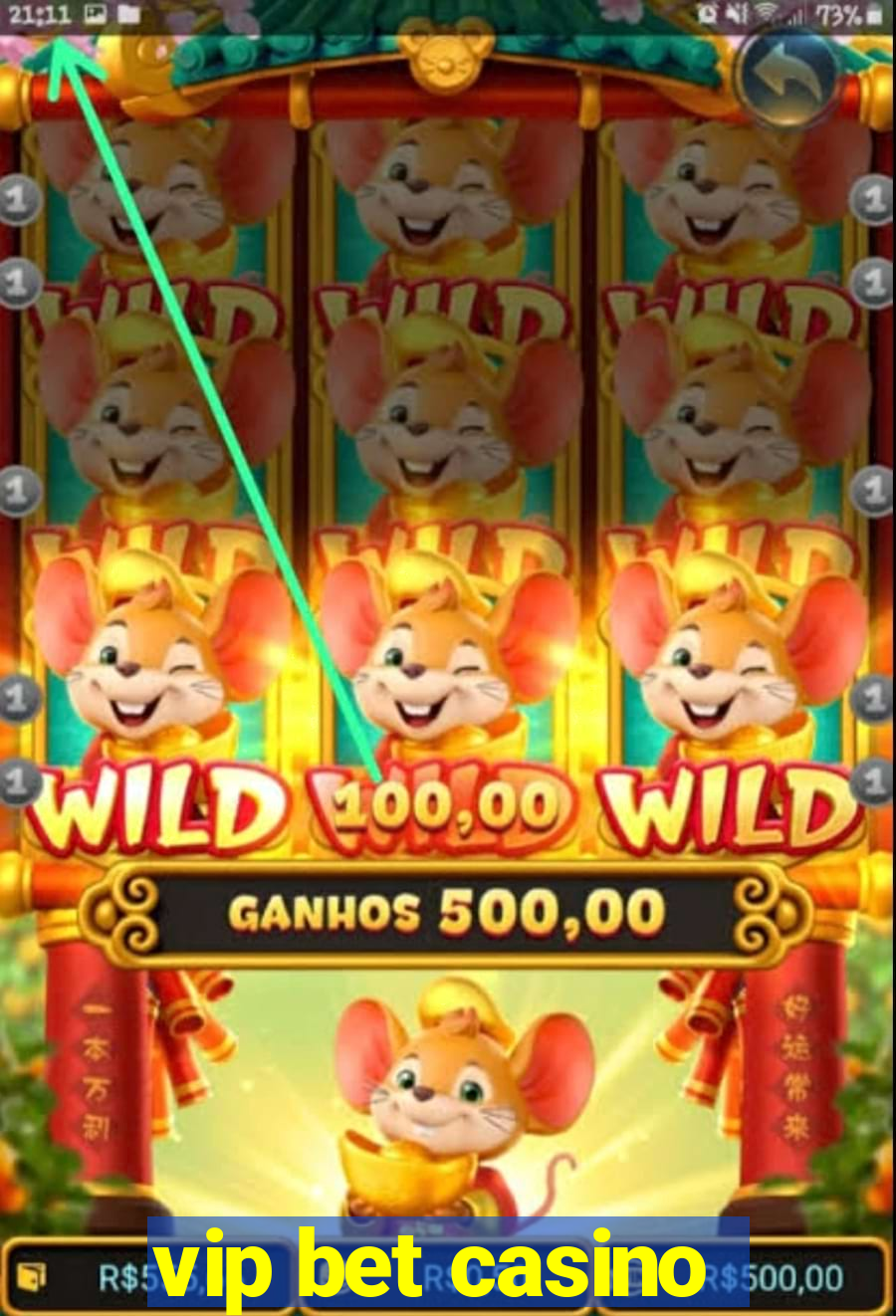 vip bet casino